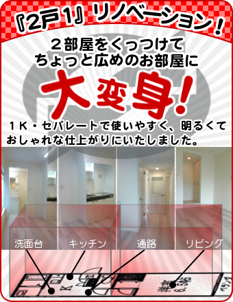 相川,一人暮らし,2戸1リノベーション