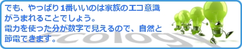 家族のエコ意識,節電効果